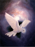 Bookmark – Stephen S. Sawyer Collection