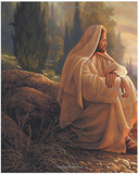"The Untold Story of Jesus" by Urantia Press