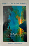 "Beside The Still Waters" by Meredith Sprunger